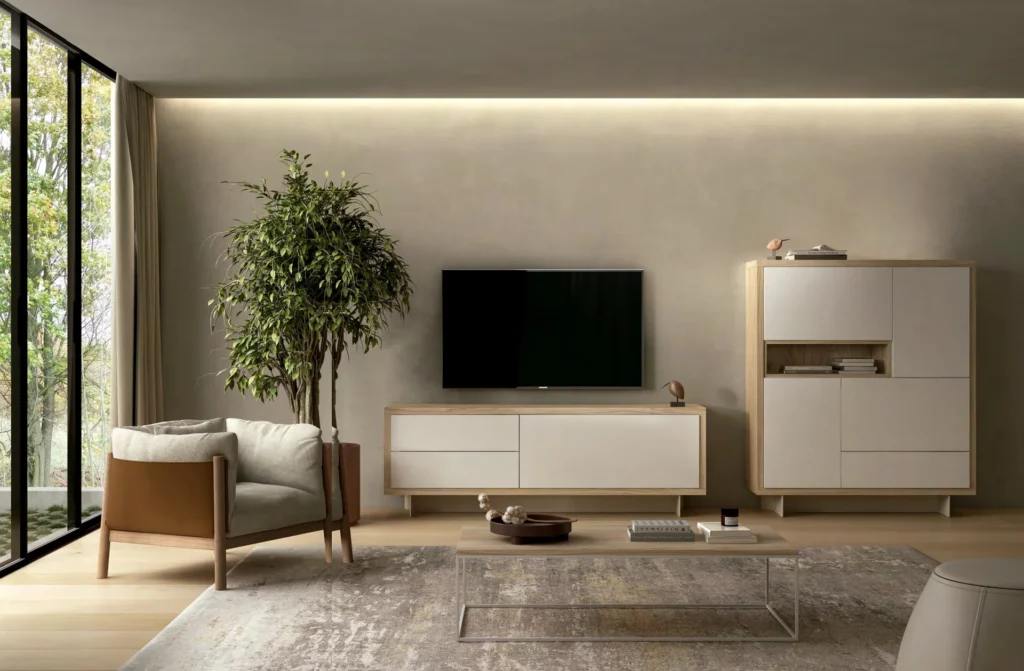 ADN A19 de Baix Moduls