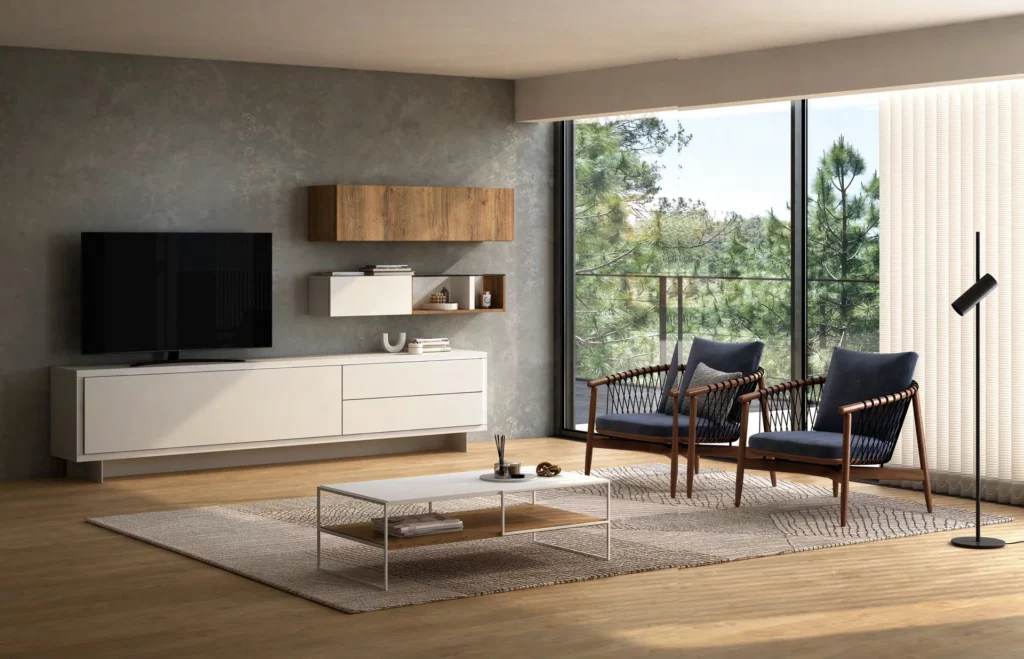 ADN A21 de Baix Moduls
