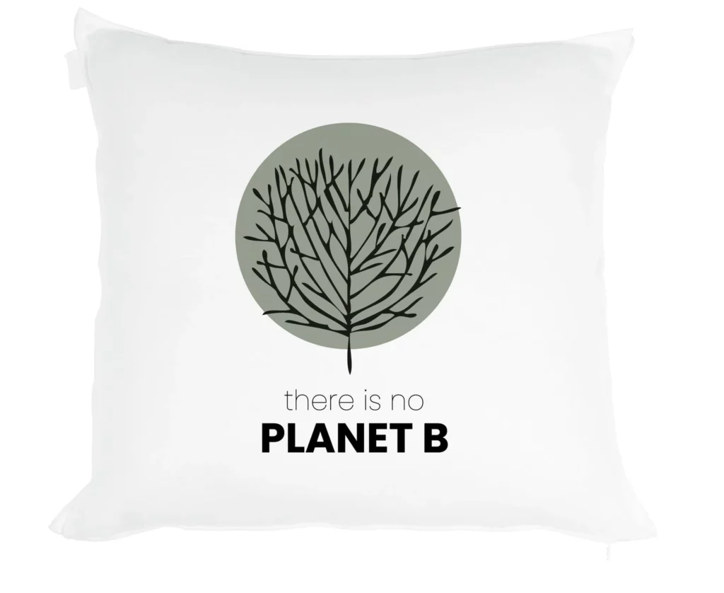 Cojín PLANET B · ROS