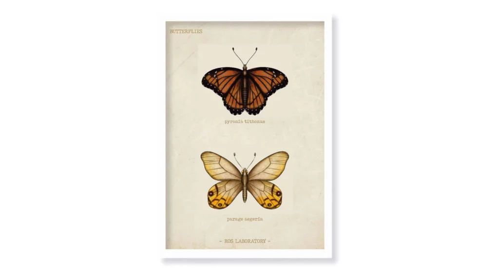 Cuadro Ancient butterfly · ROS