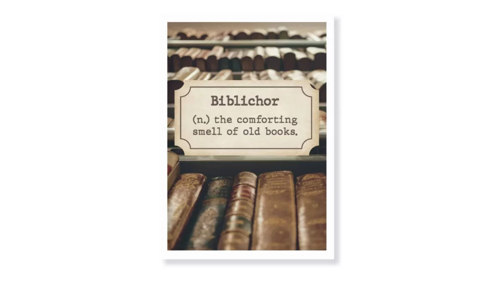 Cuadro Biblichor · ROS