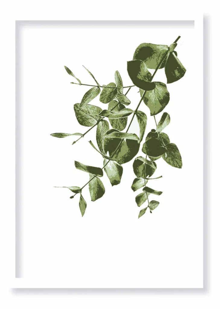 Cuadro Eucalyptus · ROS