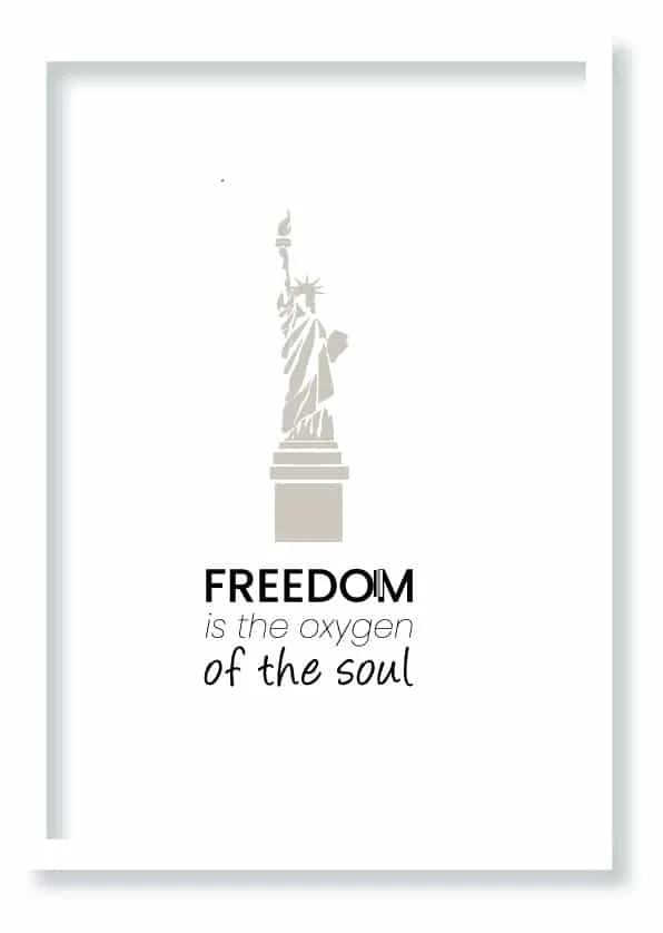 Cuadro Freedom · ROS