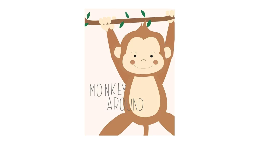 Cuadro Monkey · ROS