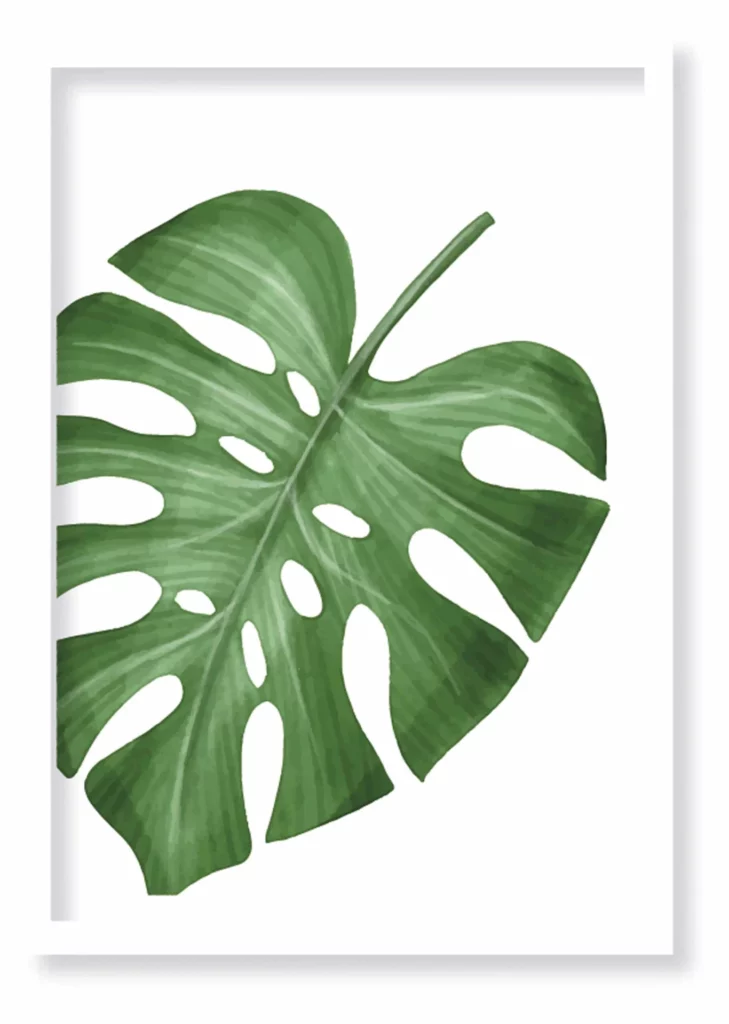 Cuadro Monstera · ROS