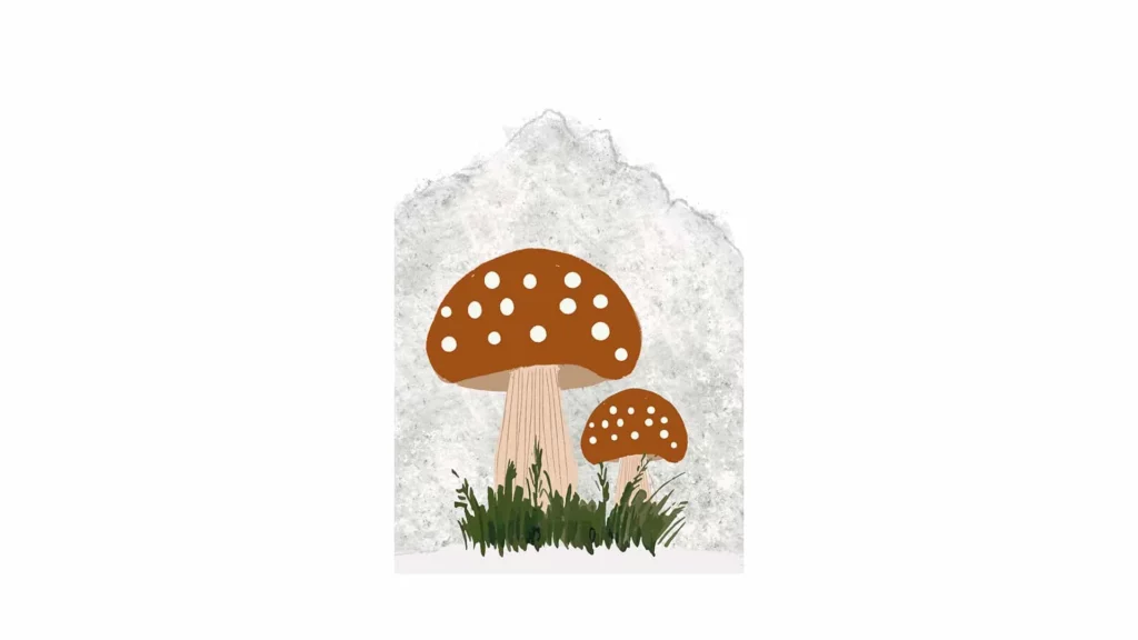 Cuadro Mushroom · ROS