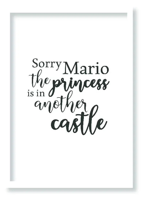 Cuadro Sorry Mario · ROS