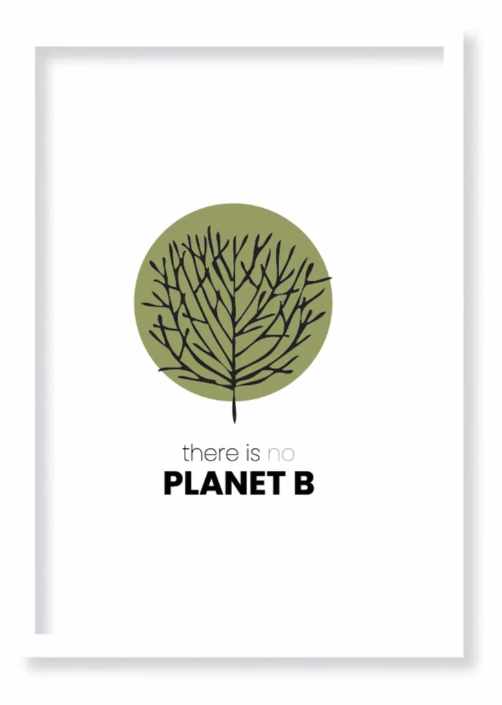 Cuadro Planet B · ROS