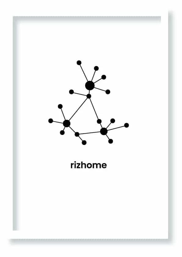 Cuadro Rizhome · ROS
