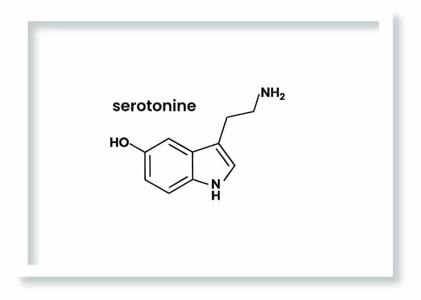 Cuadro Serotonine · ROS
