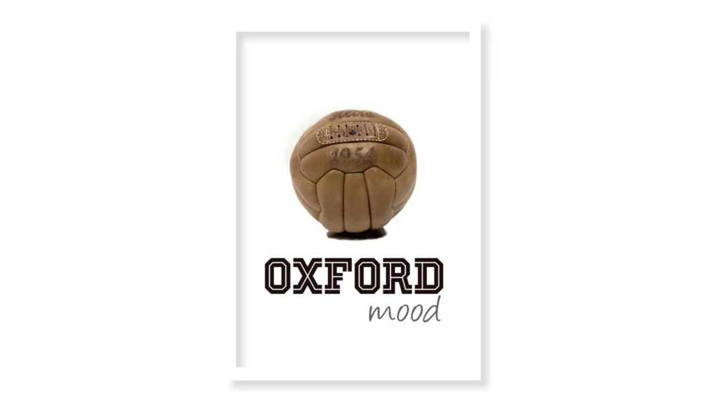 Cuadro Vintage ball · ROS