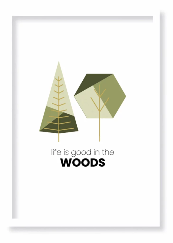 Cuadro Woods · ROS