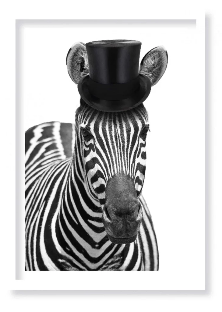 Cuadro Zebra · ROS