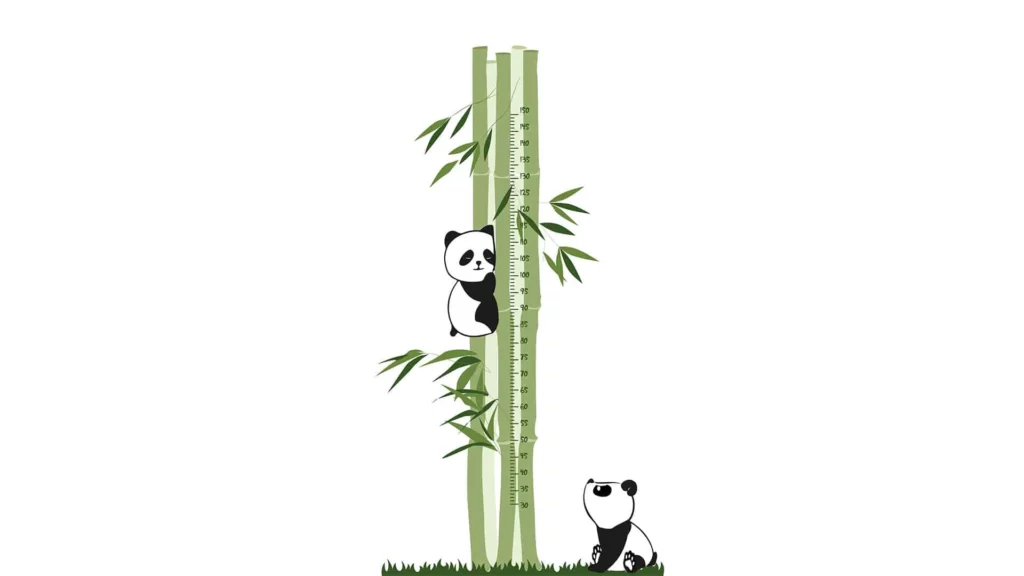 Medidor Panda · ROS